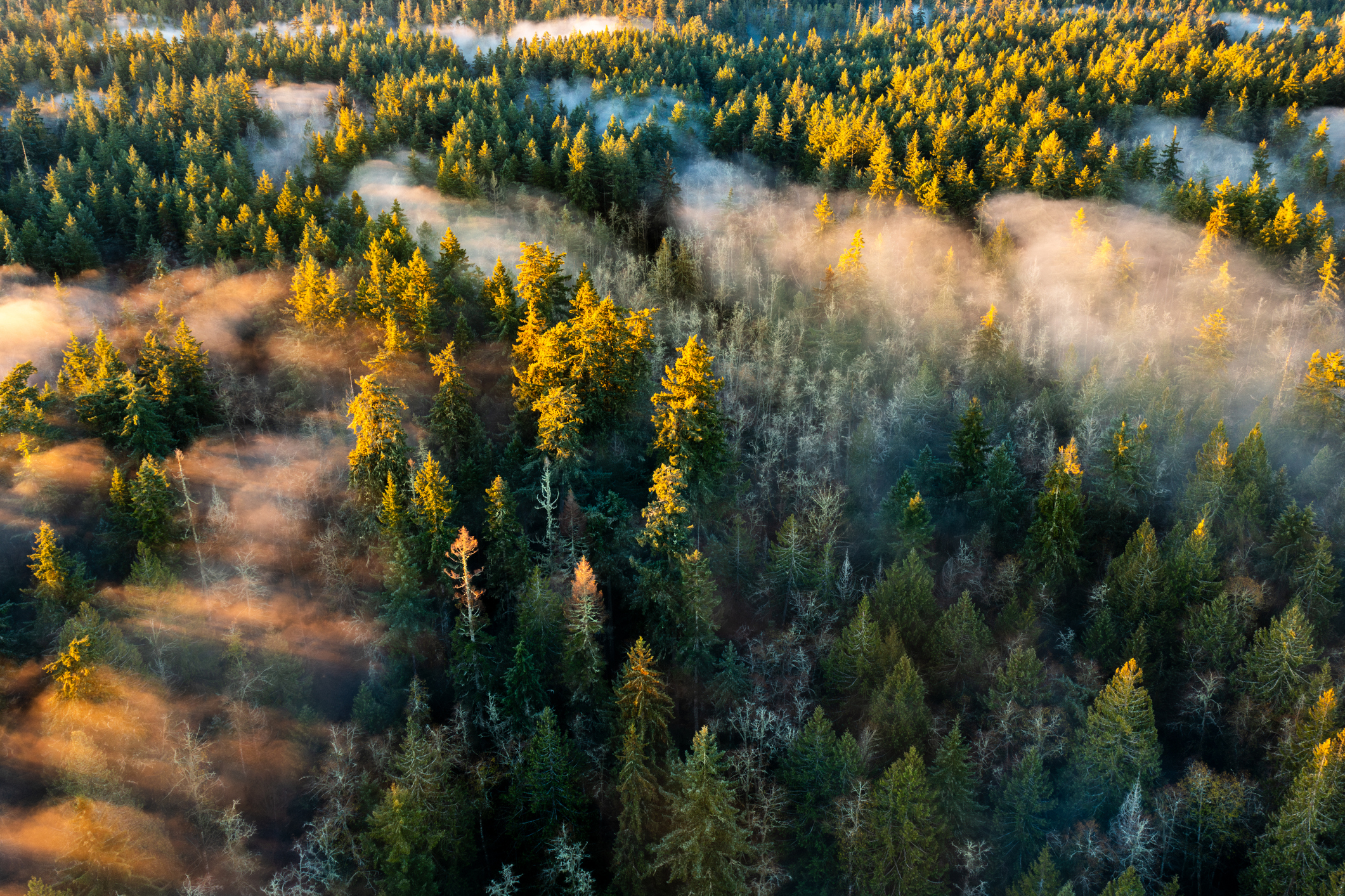 climate resilience